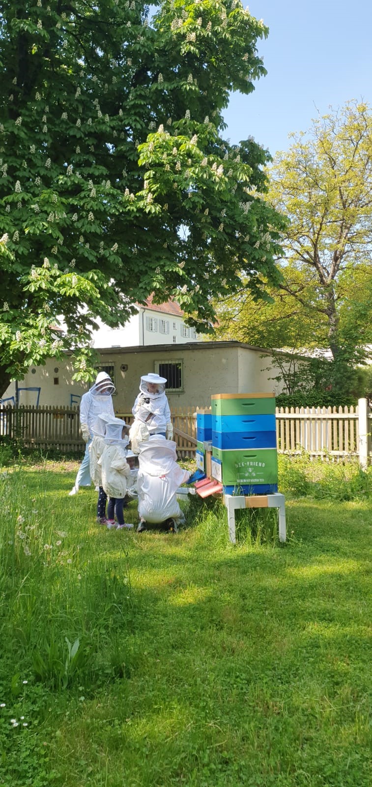 Kinder in Imkeranzügen an bunten Bienenstöcken auf einer Wiese